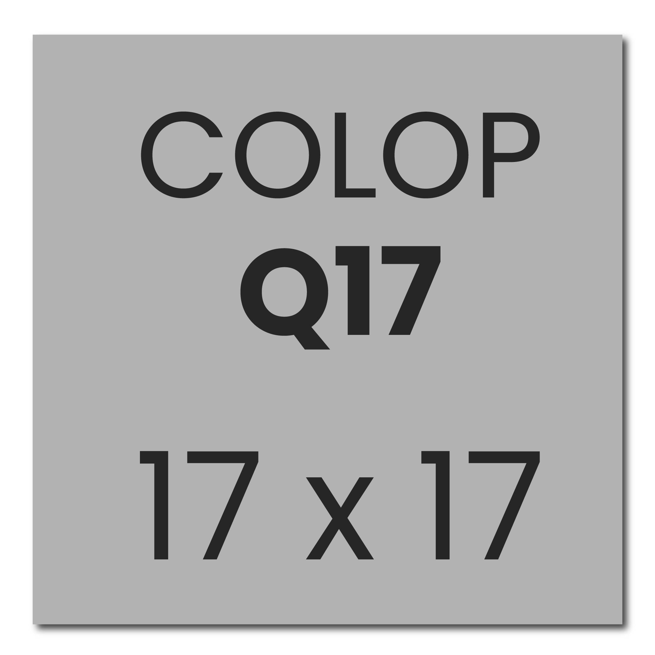 Stempelplaatje Colop Printer Q17 | Kantoorstempels.be