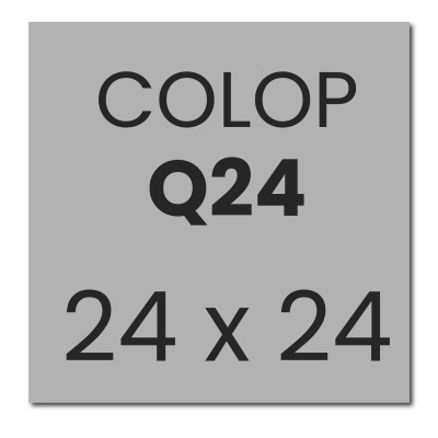 Colop Printer Q24