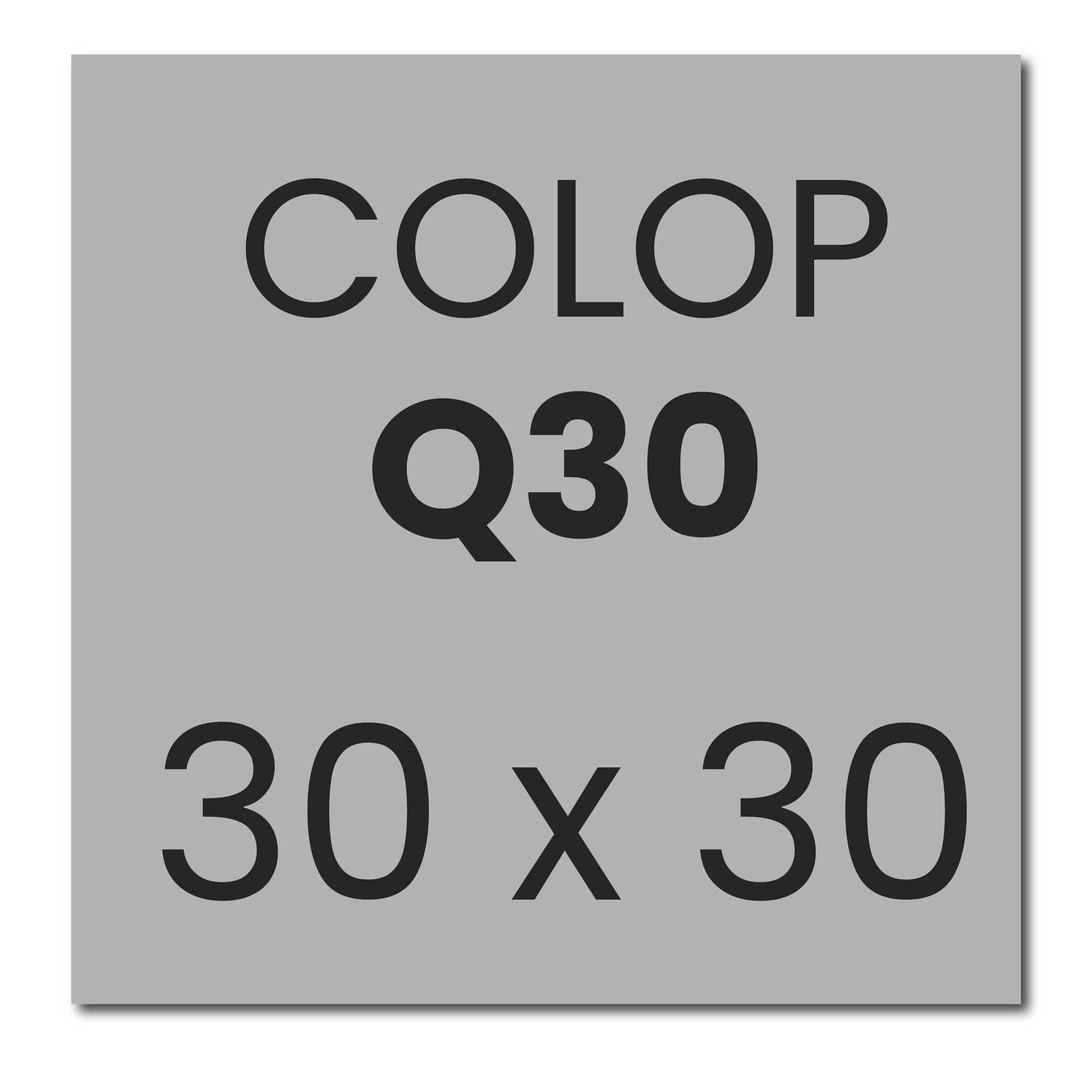 Tekstplaatje Colop Printer Q 30